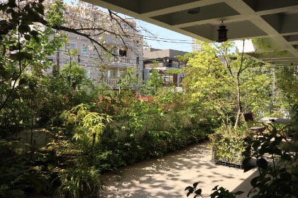 里山ユニット 四季の楽しみ:合羽坂テラスの四季 1